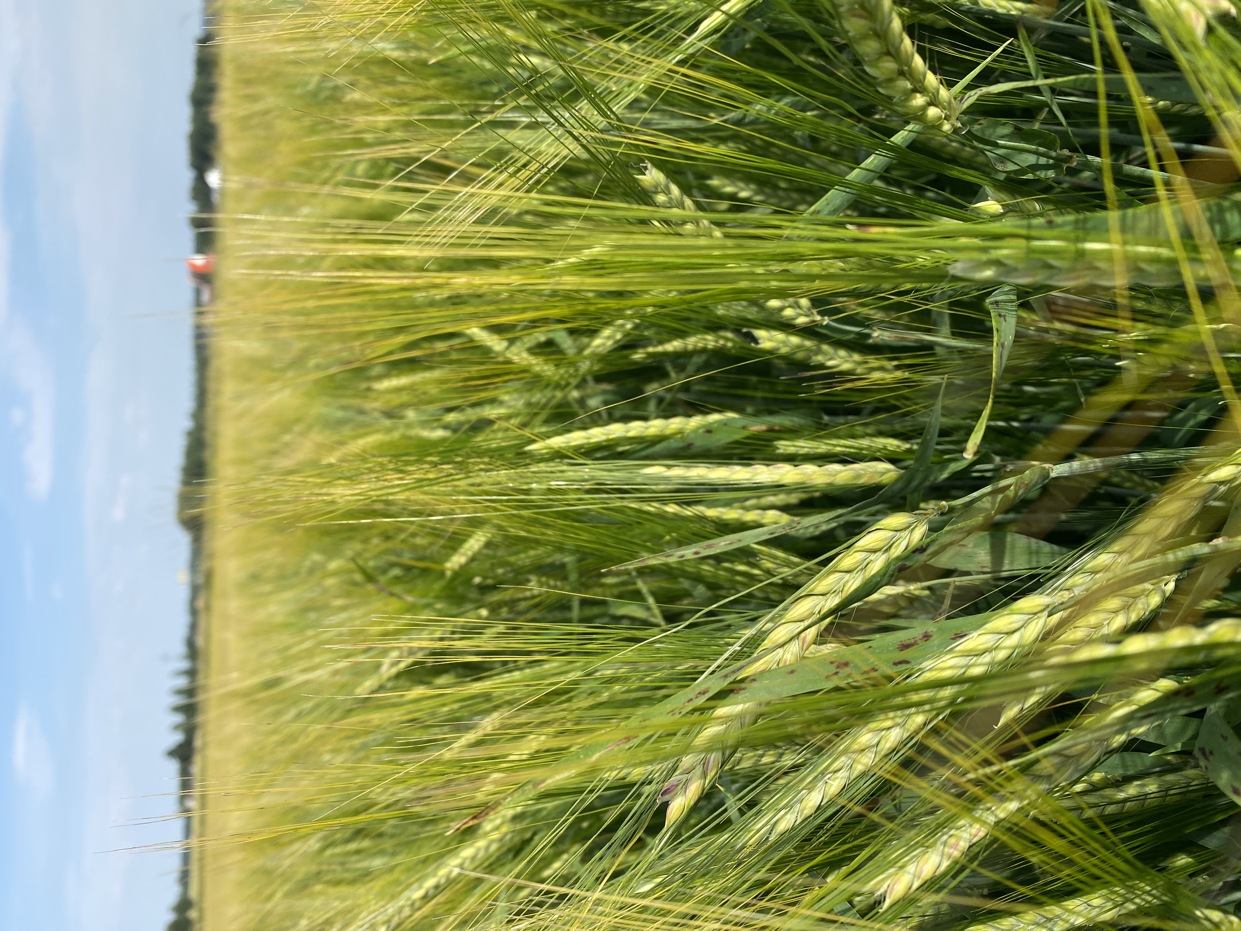 Haukstad Gård - Produksjon og gårdsliv